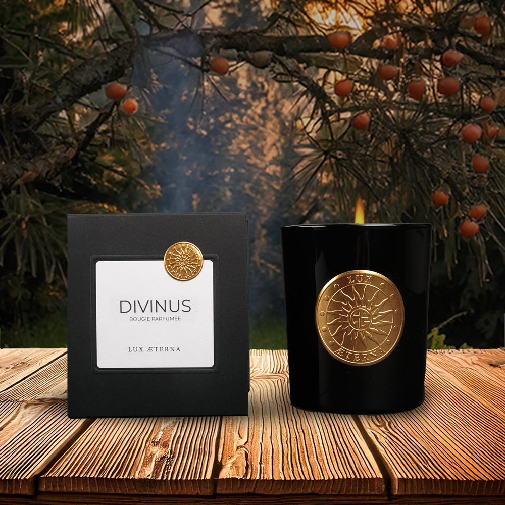 Bougie artisanale parfumée Divinus Vieille Prune Cèdre | Bougie de luxe haut de gamme