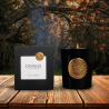 Bougie artisanale parfumée Divinus Vieille Prune Cèdre | Bougie de luxe haut de gamme