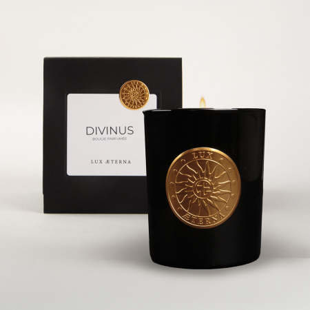 Bougie artisanale parfumée Divinus Vieille Prune Cèdre | Bougie de luxe haut de gamme