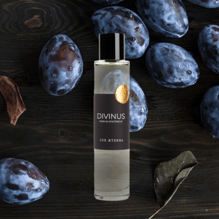 Parfum d'intérieur Divinus Vieille Prune Cèdre | Parfum d'intérieur luxe haut de gamme