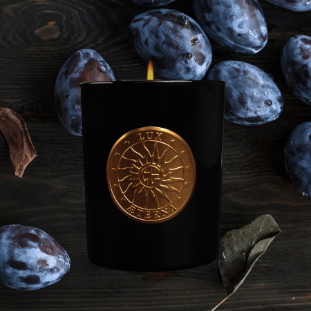 Bougie artisanale parfumée Divinus Vieille Prune Cèdre | Bougie de luxe haut de gamme