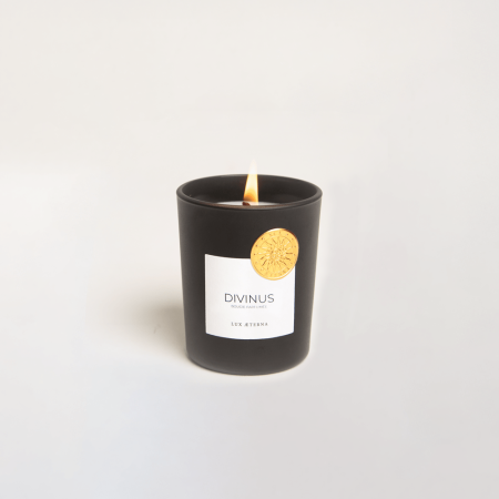 Bougie artisanale parfumée Divinus Vieille Prune Cèdre | Bougie de luxe haut de gamme