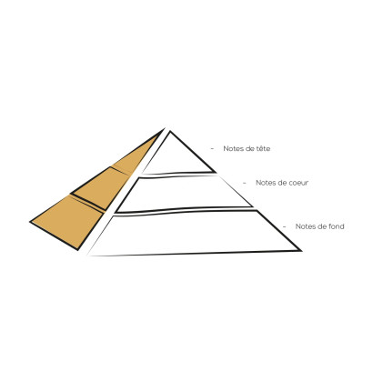 Qu'est-ce que la pyramide olfactive ?