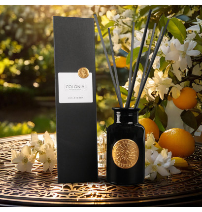 Lexique diffuseurs de parfum LUX ÆTERNA